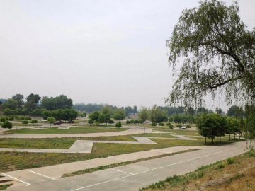 驰安驾校