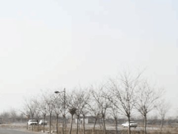 兴运驾校