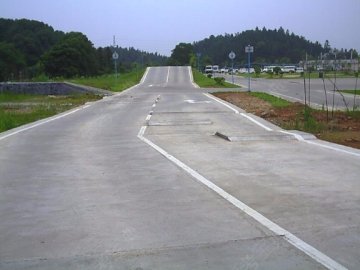 顿村驾校