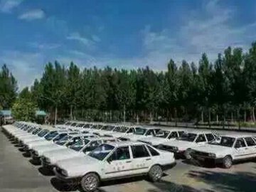 向阳驾校