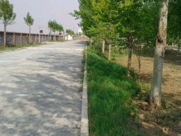 长子驾校