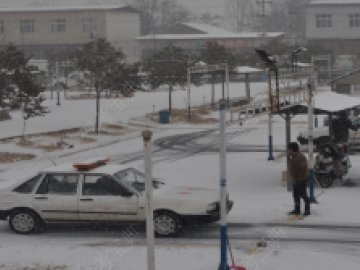 运输驾校