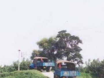 安通驾校
