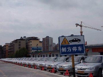向阳驾校