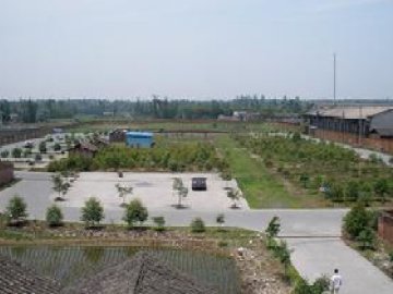 绿洲驾校