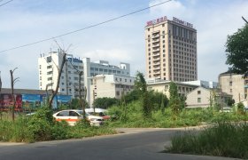 金茂驾校