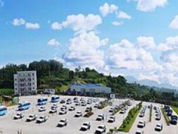 泰达驾校