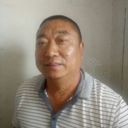 秦虎