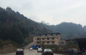 金鹏驾校