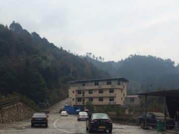 金鹏驾校