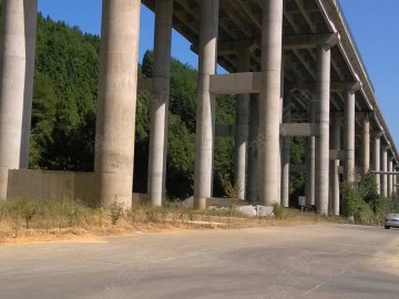 闽王驾校