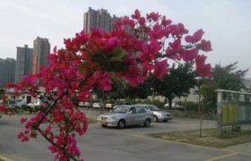 泉州鲤城鑫源驾校