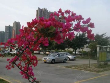 泉州鲤城鑫源驾校