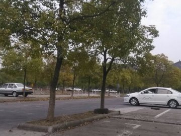 羊阳驾校