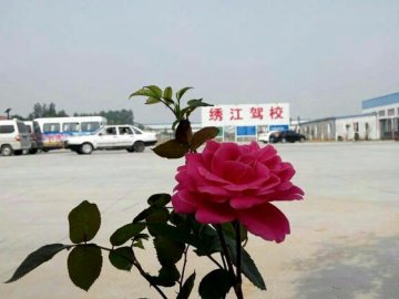 绣江驾校