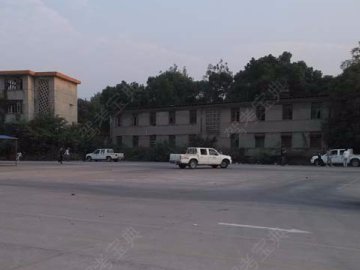 大柱驾校