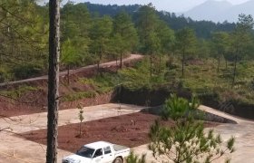 红都驾校
