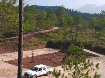 红都驾校