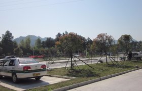如意驾校