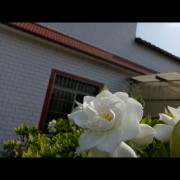 你大爷