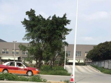 中泰驾校.