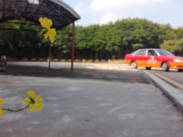 顺达驾校