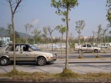中南驾校