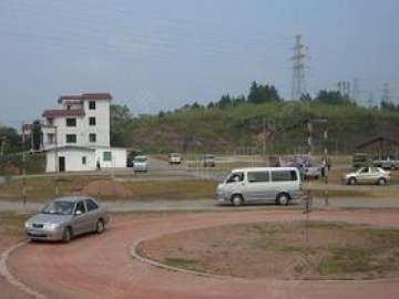 金梅驾校