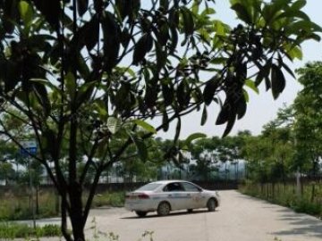 派力驾校