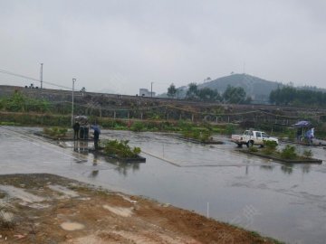 新通交运驾校