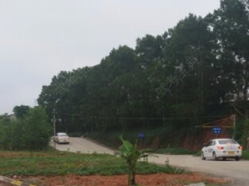顺隆驾校