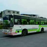 胡金强