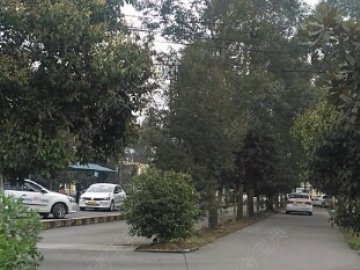 蒲江驾校