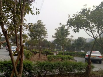 戎强驾校