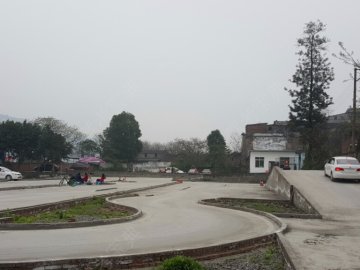 交通驾校