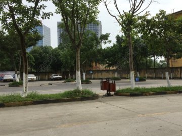 585所驾校