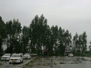 交通驾校