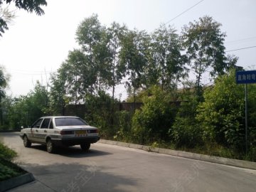 实验驾校