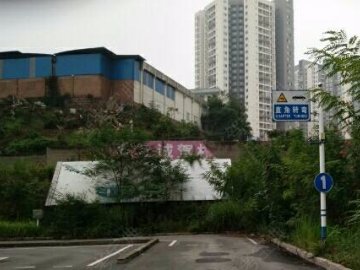 道真驾校