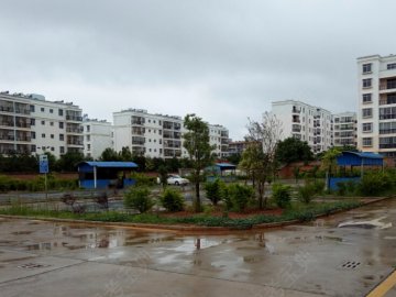 森茂驾校