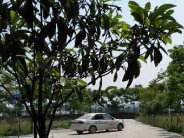 恒瑞驾校