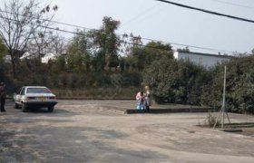 诚信驾校