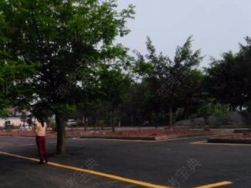 腾飞驾校