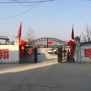 马上证
