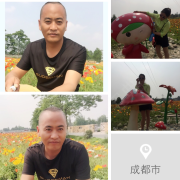 谭启军