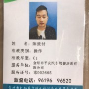 陈致付