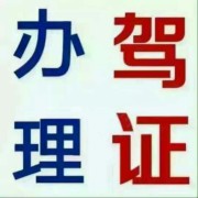 田野