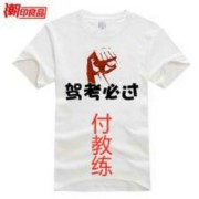 科目三付教练