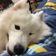 刚好