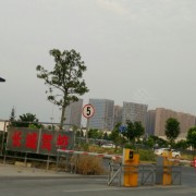 罗教练
